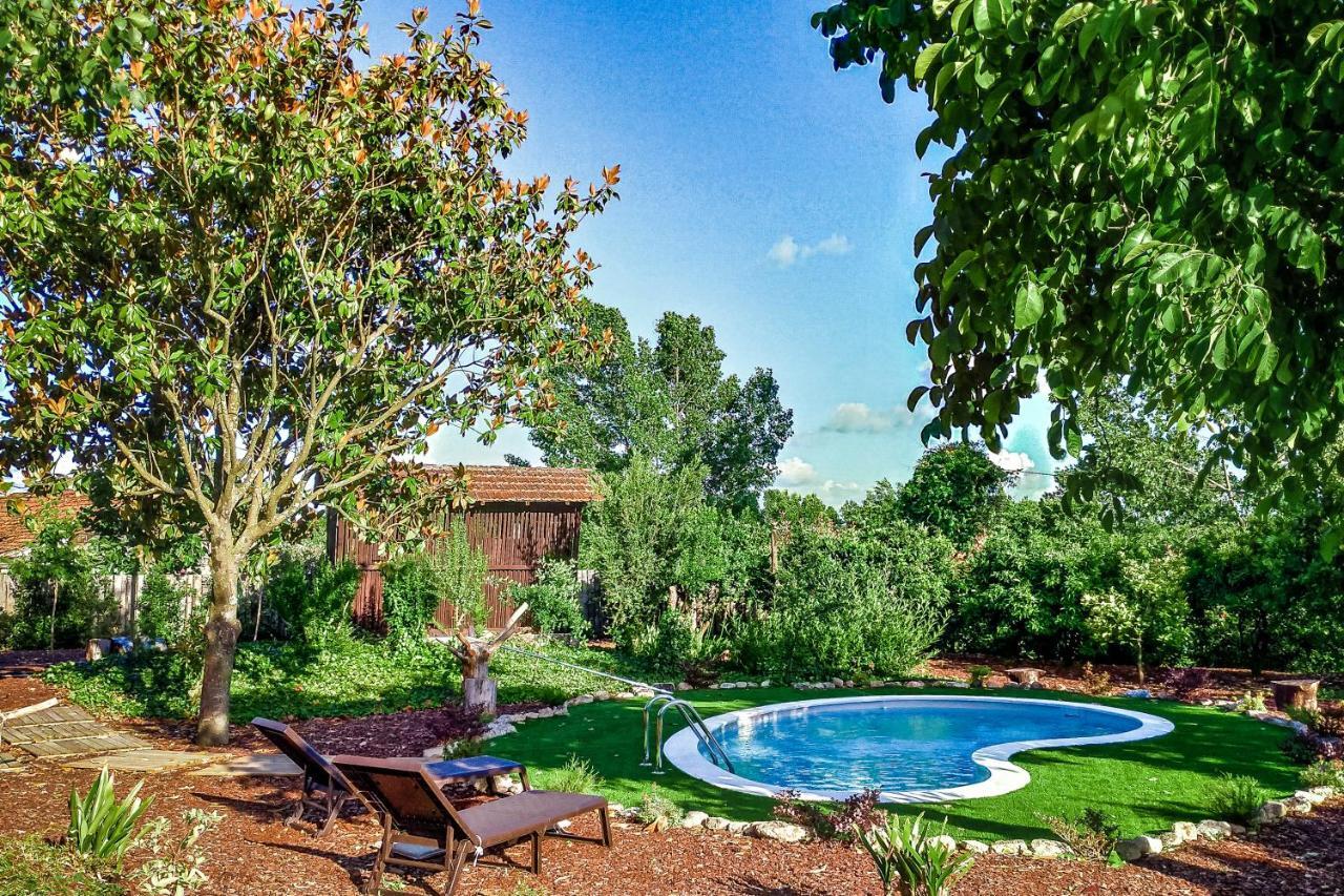 Vila Casa De Louredo Paredes  Exteriér fotografie